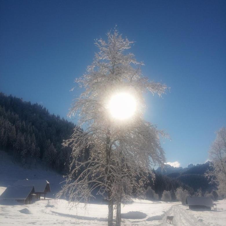 Huatscher Camporosso (Tarvisio) Exterior foto